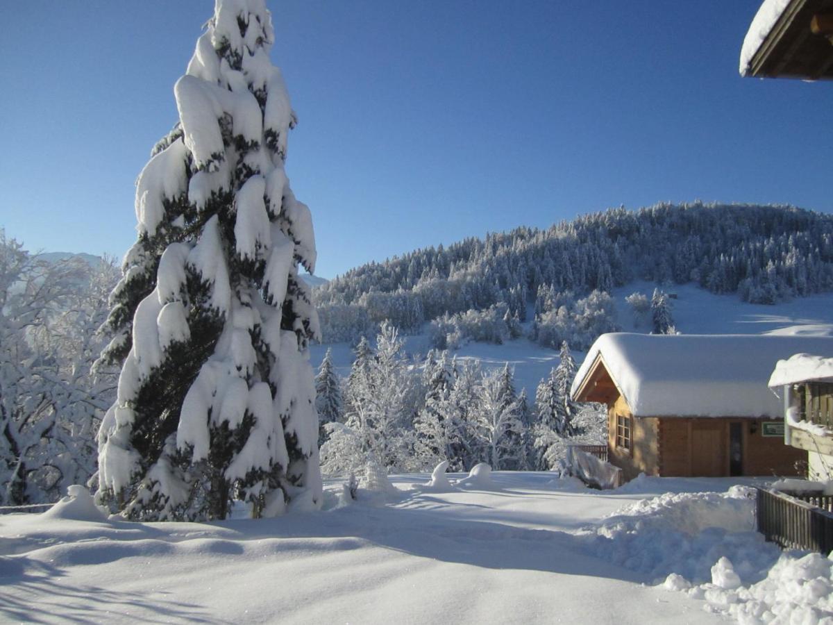 Villa Bauernhof Bilgeri à Hittisau Extérieur photo