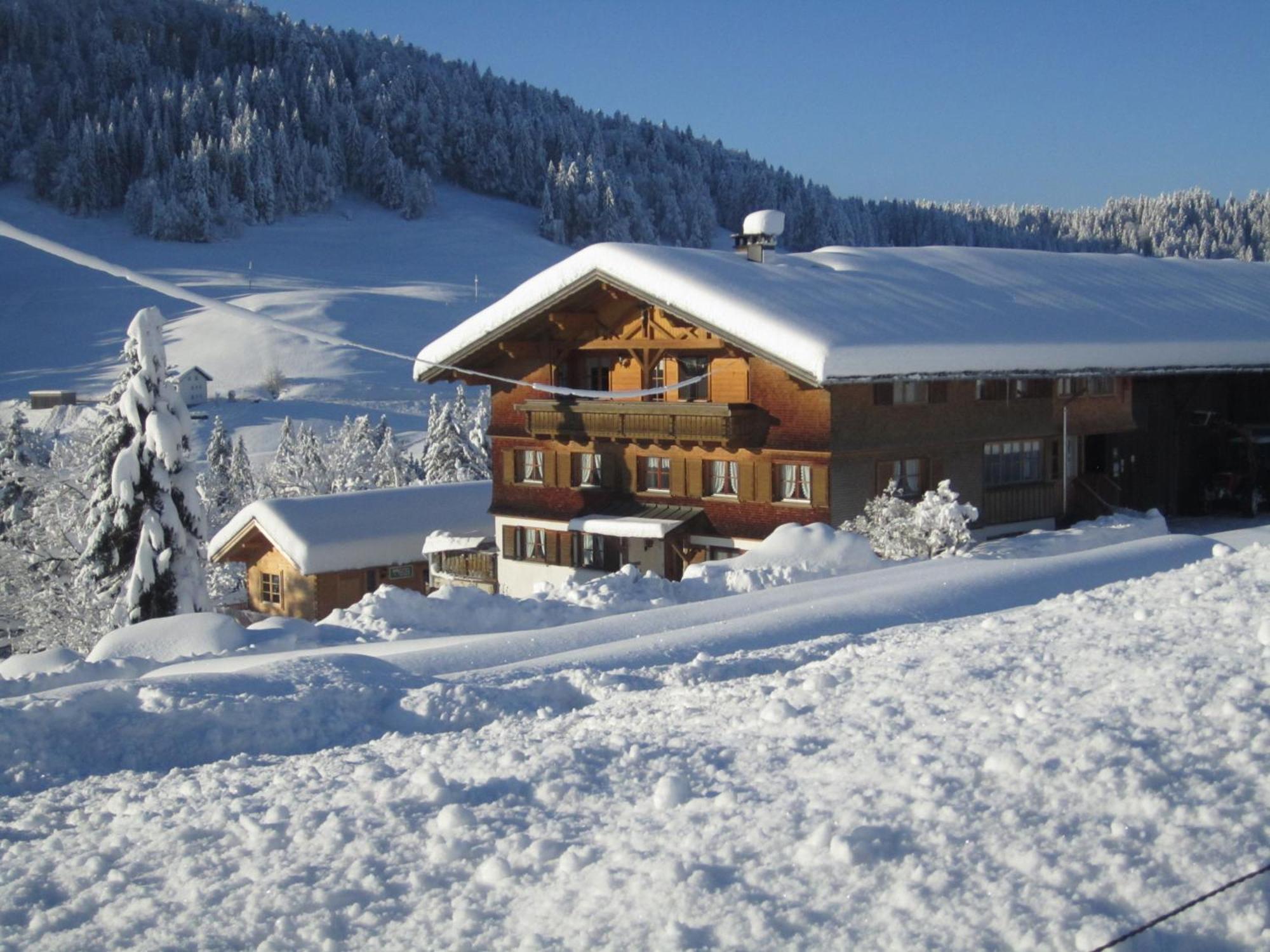 Villa Bauernhof Bilgeri à Hittisau Extérieur photo