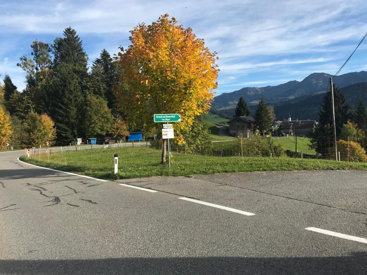 Villa Bauernhof Bilgeri à Hittisau Extérieur photo