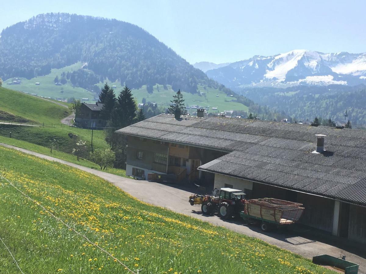 Villa Bauernhof Bilgeri à Hittisau Extérieur photo