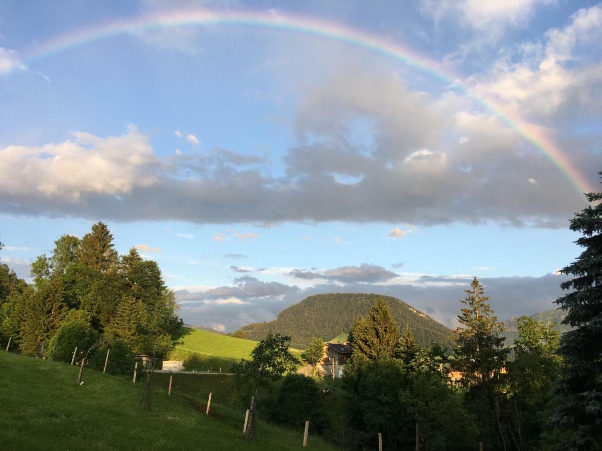 Villa Bauernhof Bilgeri à Hittisau Extérieur photo